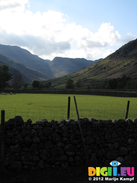 SX22126 View from Langdale Campsite, Lake District